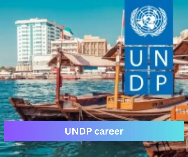 UNDP career